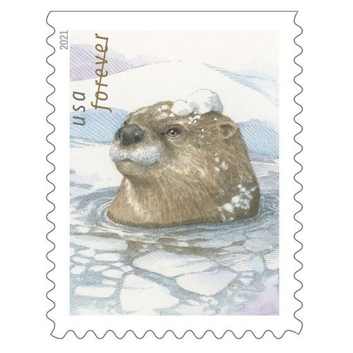 2021 Otter in the Snow Forever®Stamp | Forever Stamps US Postage Stamps