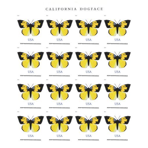 2019 California Dogface Butterfly Forever®Stamp | Forever Stamps US Postage Stamps