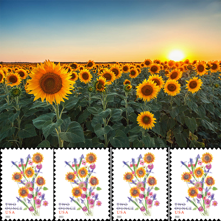 2022 Sunflower Bouquet Two Ounce Forever®Stamp | Forever Stamps US Postage Stamps