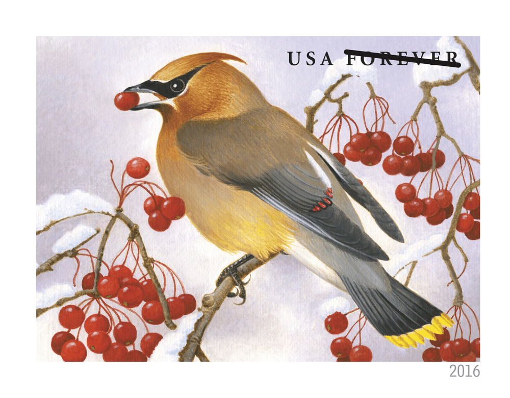 2016 Forever Stamps Songbirds In Snow | Forever Stamps US Postage Stamps