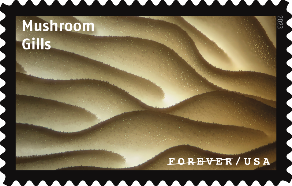 2023 Life Magnified Stamps - Forever Stamps