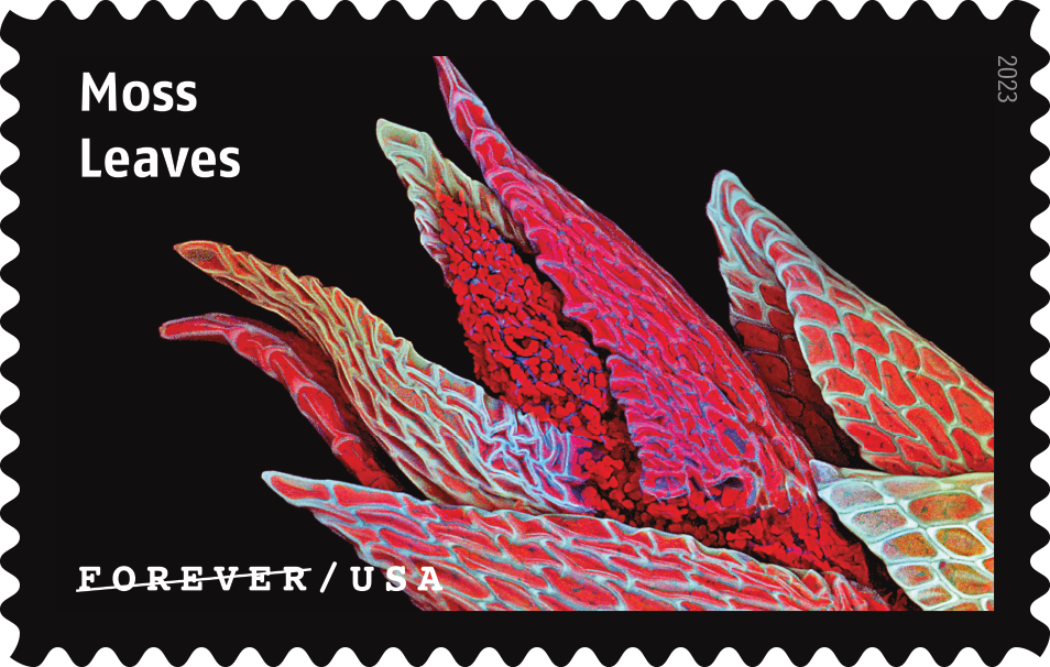 2023 Life Magnified Stamps - Forever Stamps