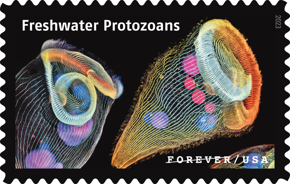 2023 Life Magnified Stamps - Forever Stamps