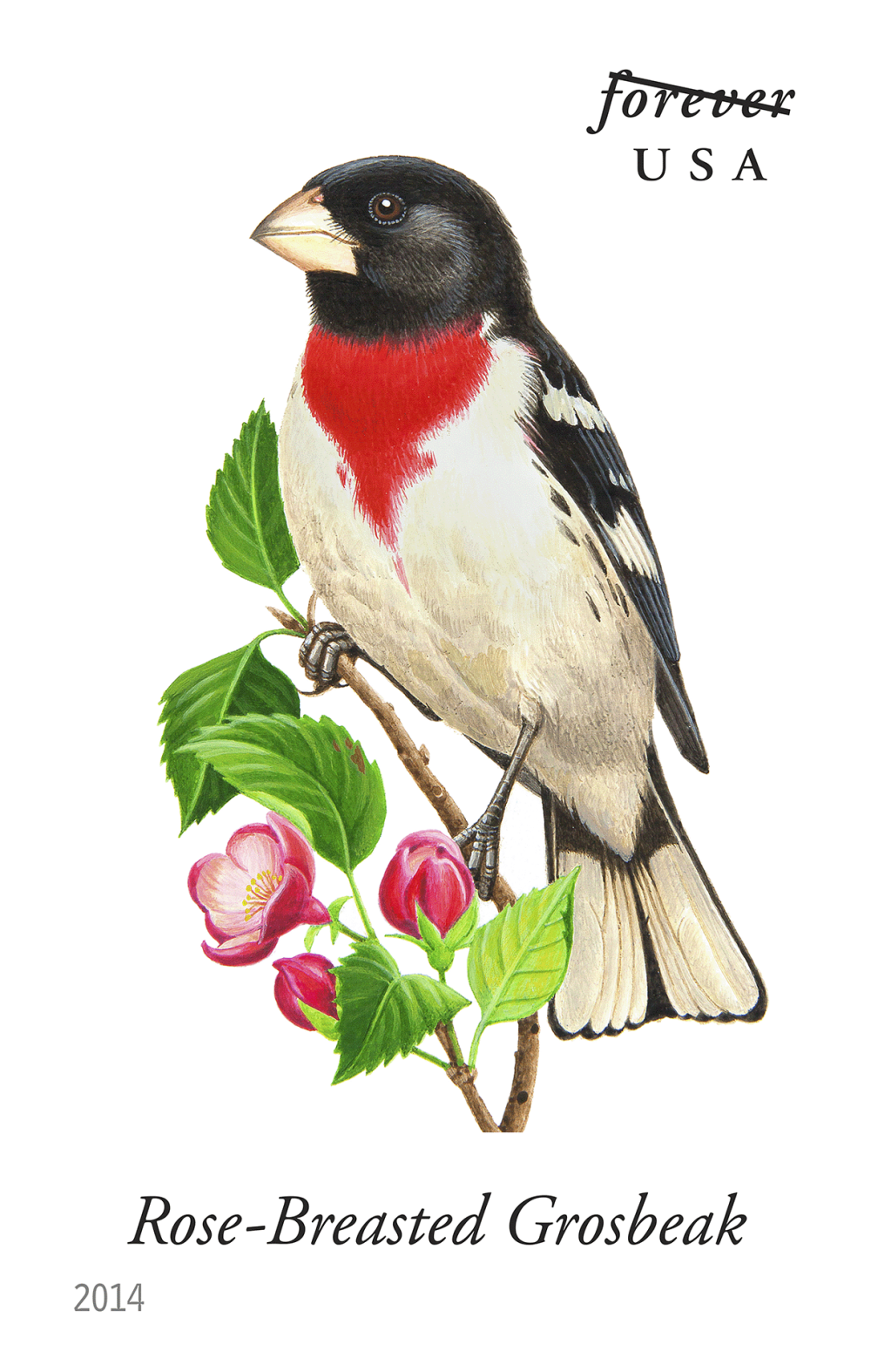 2014 Song Birds Stamps - Forever Stamps