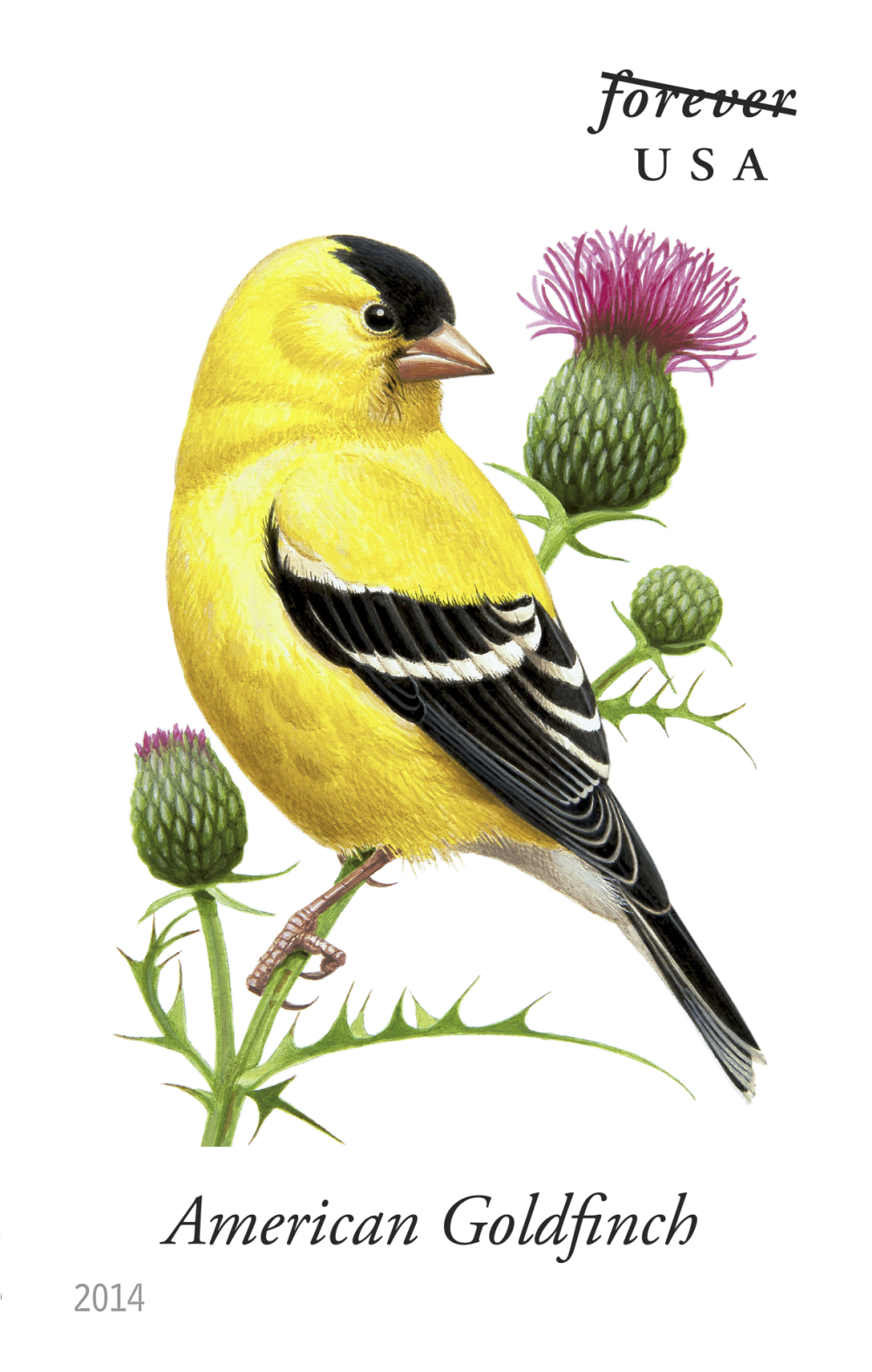 2014 Song Birds Stamps - Forever Stamps