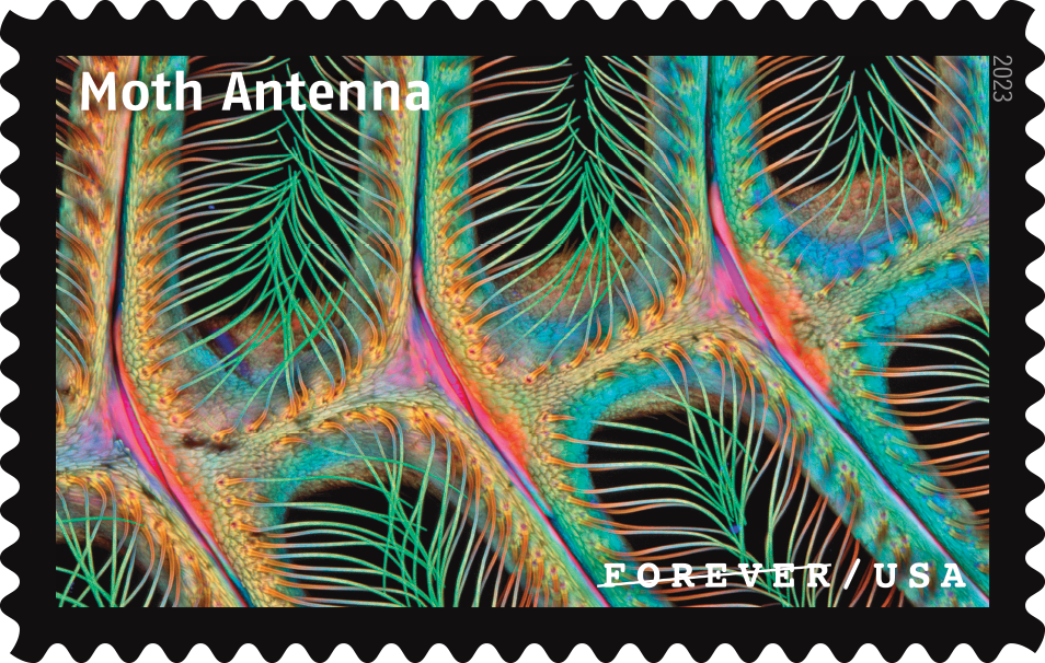 2023 Life Magnified Stamps - Forever Stamps