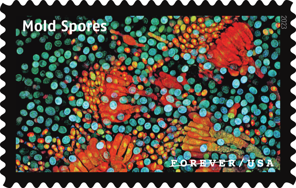 2023 Life Magnified Stamps - Forever Stamps