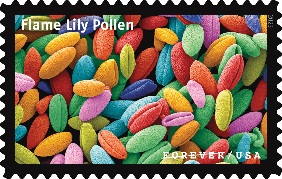 2023 Life Magnified Stamps - Forever Stamps