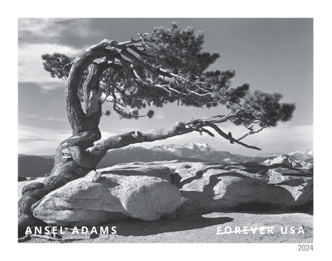 2024 Ansel Adams Stamps - Forever Stamps