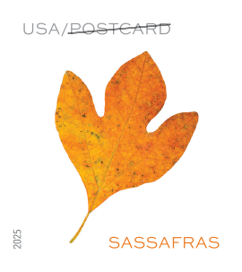 2025 Vibrant Leaves Stamps - Forever Stamps